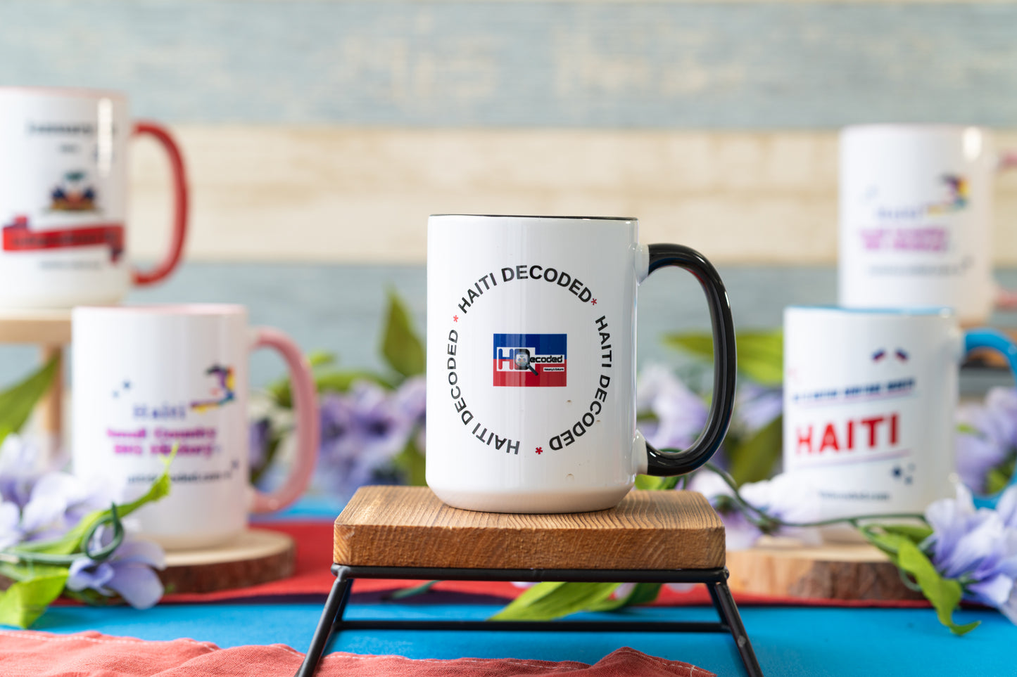 The Haiti Decoded Mug